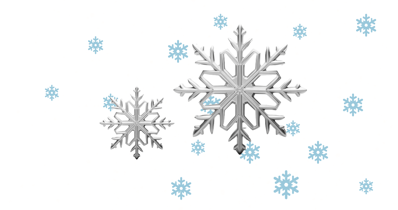 Winter Sale